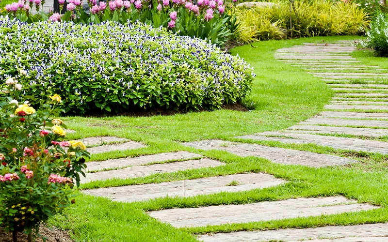 Landscape Construction in UAE