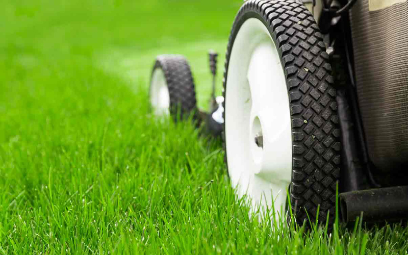 lawn-and-sports-turf-services
