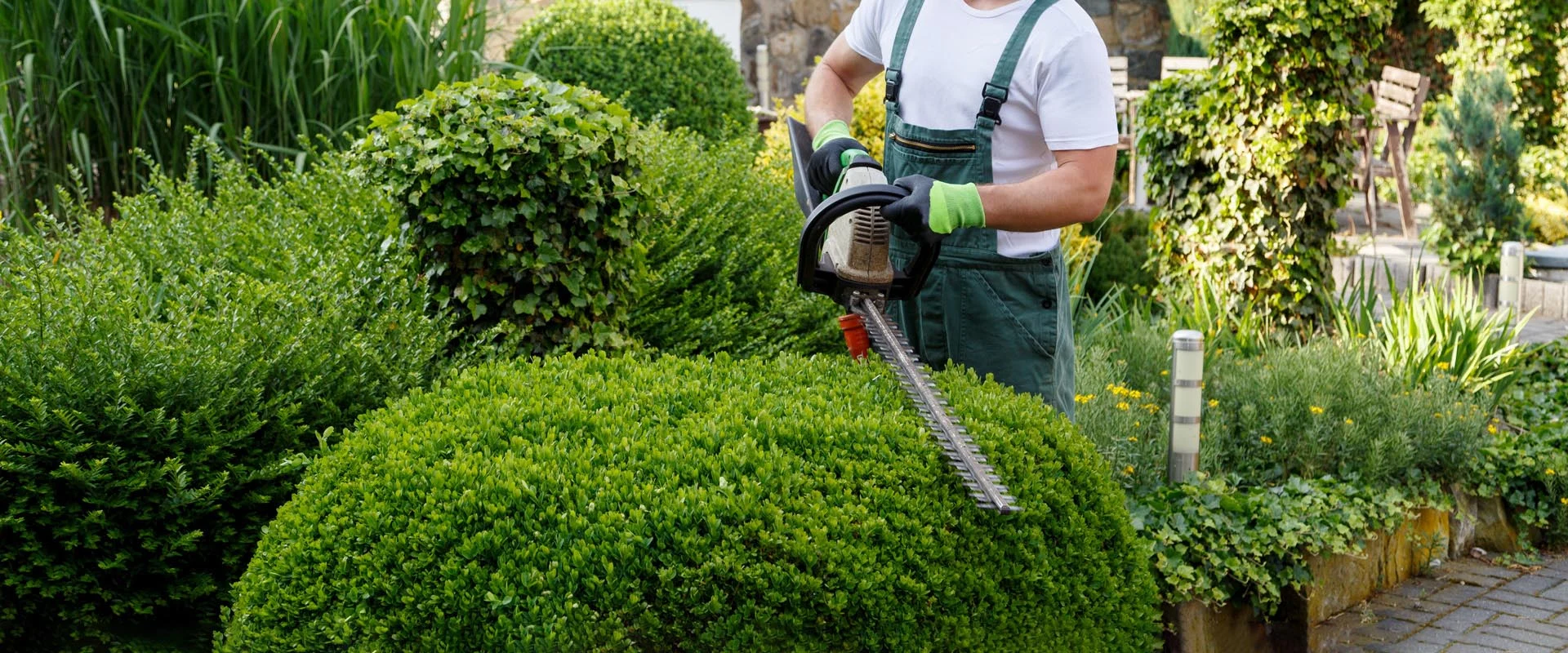 Landscape Maintenance in UAE