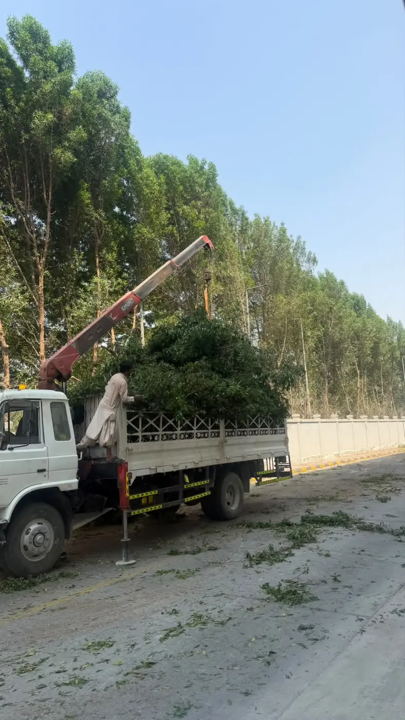 Rooftop garden - landscaping project UAE