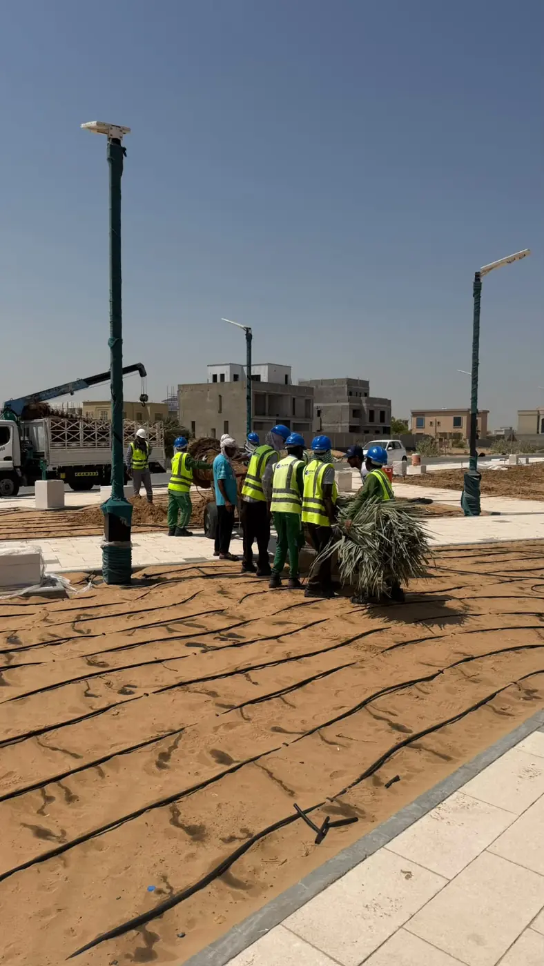 Resort beachfront palms - landscaping project UAE