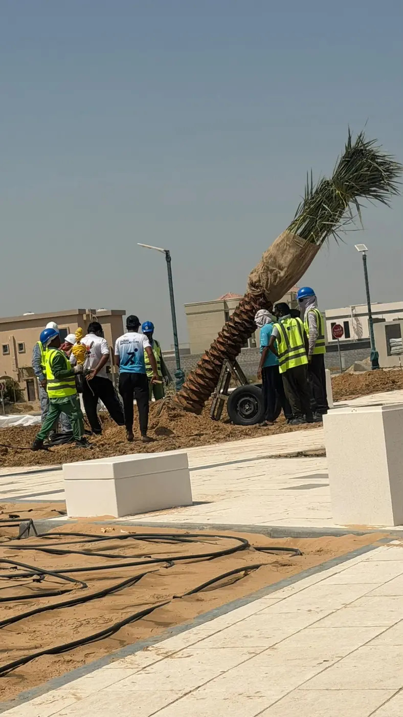 Villa garden with pool - landscaping project UAE